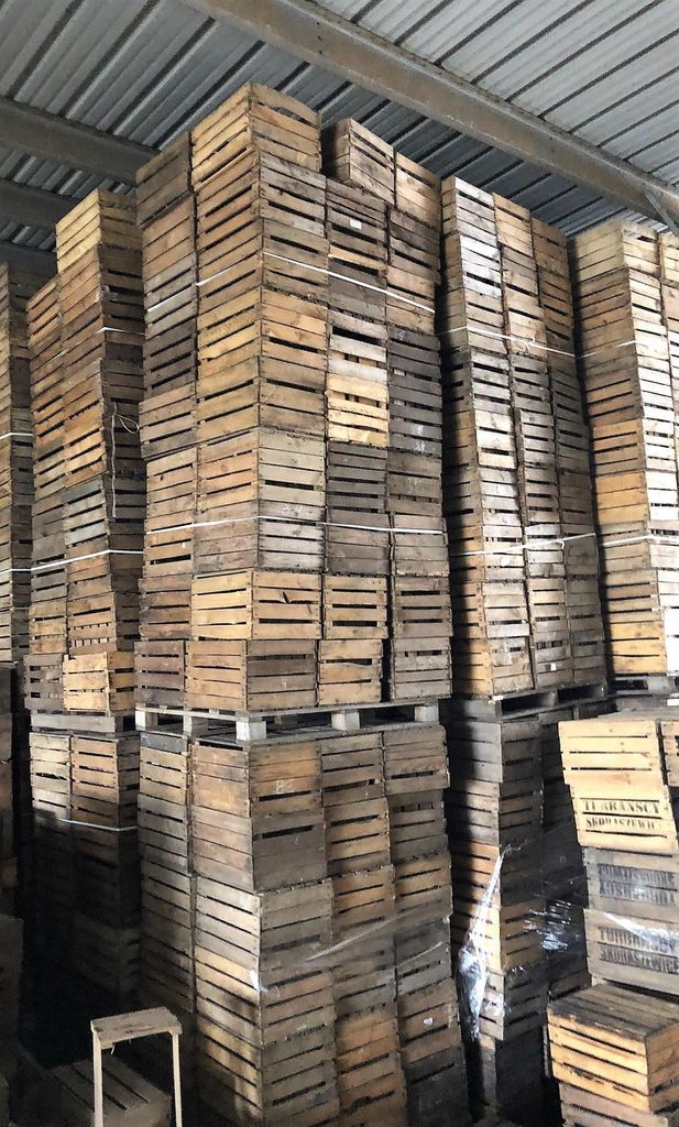 8 Massive Obstkisten weinkisten apfelkiste