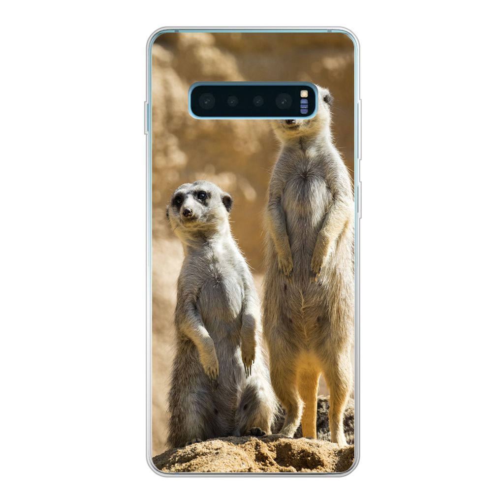 MuchoWow Handyhülle Schutzhülle Hülle für Samsung Galaxy S10 Lite Felsen - Erdmännchen - Tiere Silikon Softcase Handy Hülle - Schutz
