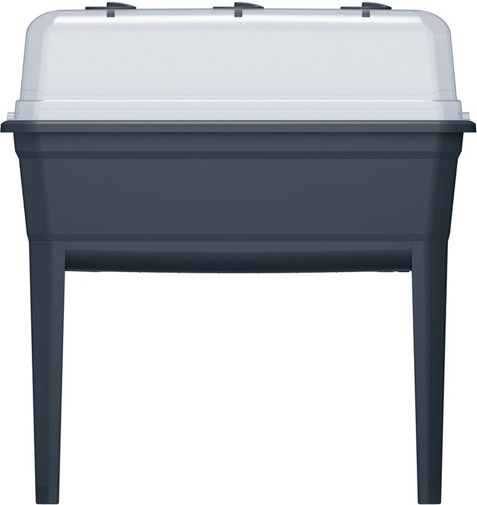 A front view of a dark grey plastic steamer on legs with a clear lid.