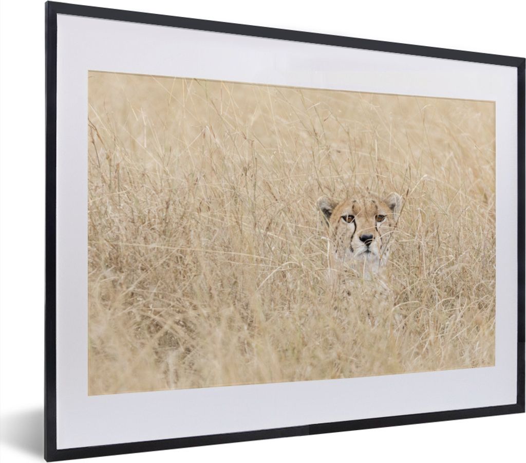 MuchoWow MuchoWow Gerahmtes Poster Versteckter Gepard im hohen Gras 40x30 cm - Poster mit zchwarzem Bilderrahmen - Bilderrahmen - Poster im Rahmen