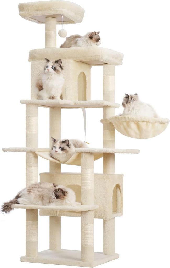 Katenaufstiegshilfe 178 cm - Für Haustiere - Beige - HCT036M