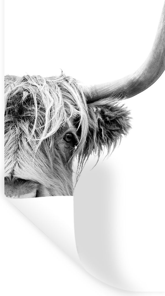 MuchoWow Wandtattoo Wandsticker Wandaufkleber Schottischer Highlander - Tiere - Schwarz - Weiß 20x40 cm Selbstklebend und Repositionierbar - Sel...