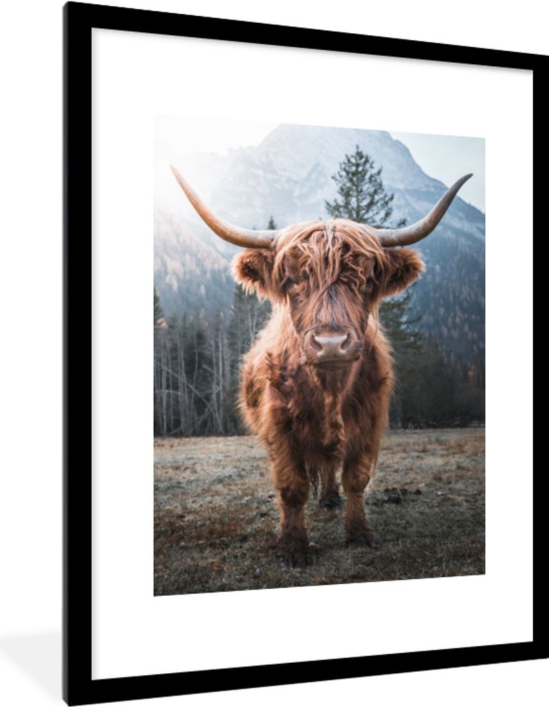 MuchoWow Gerahmtes Poster Schottischer Hochländer - Kuh - Tiere - Berg - Natur 60x80 cm - Poster mit Schwarzem Bilderrahmen Wandposter Rahmen Fo...
