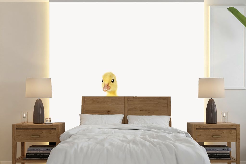 MuchoWow Fototapete für Wohnzimmer oder Schlafzimmer Wandtapete Vinyl Motivtapete Ente - Küken - Tiere - Süß - Mädchen - Jungen - Kinder - 2...