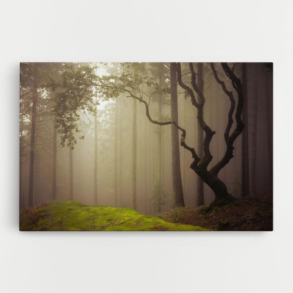 ARTHUB Leinwandbild 70x100 cm, Foggy Tree Art | Wohnzimmerdekoration, Hängende Bilder, Wanddekoration, Heimdekoration, Landschaften, Wälder