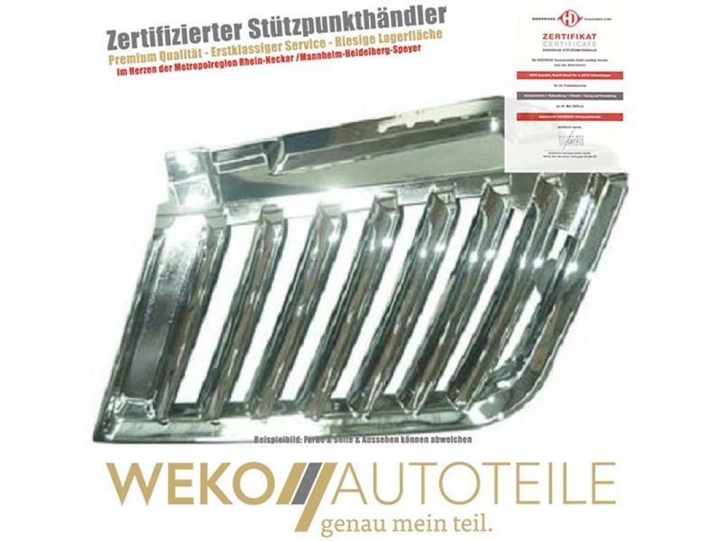 Kühlergitter links DIEDERICHS 5881941 für MITSUBISHI