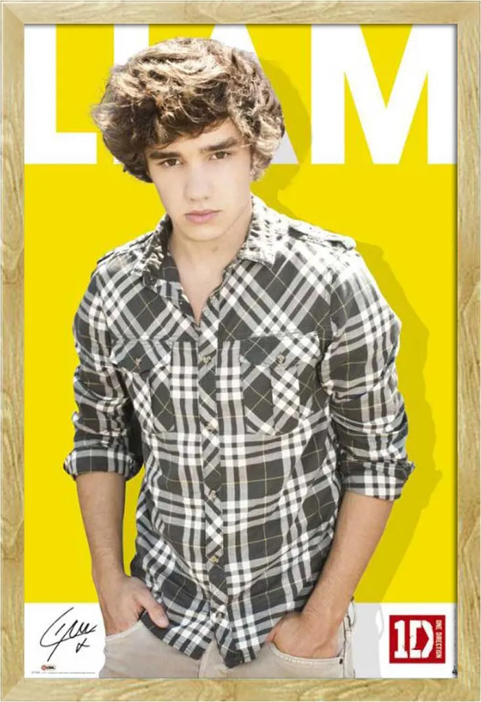 Cadre Photo Mural avec Poster One Direction Liam Payne en Bois Hêtre