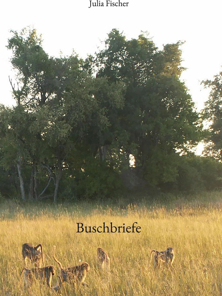 Buschbriefe