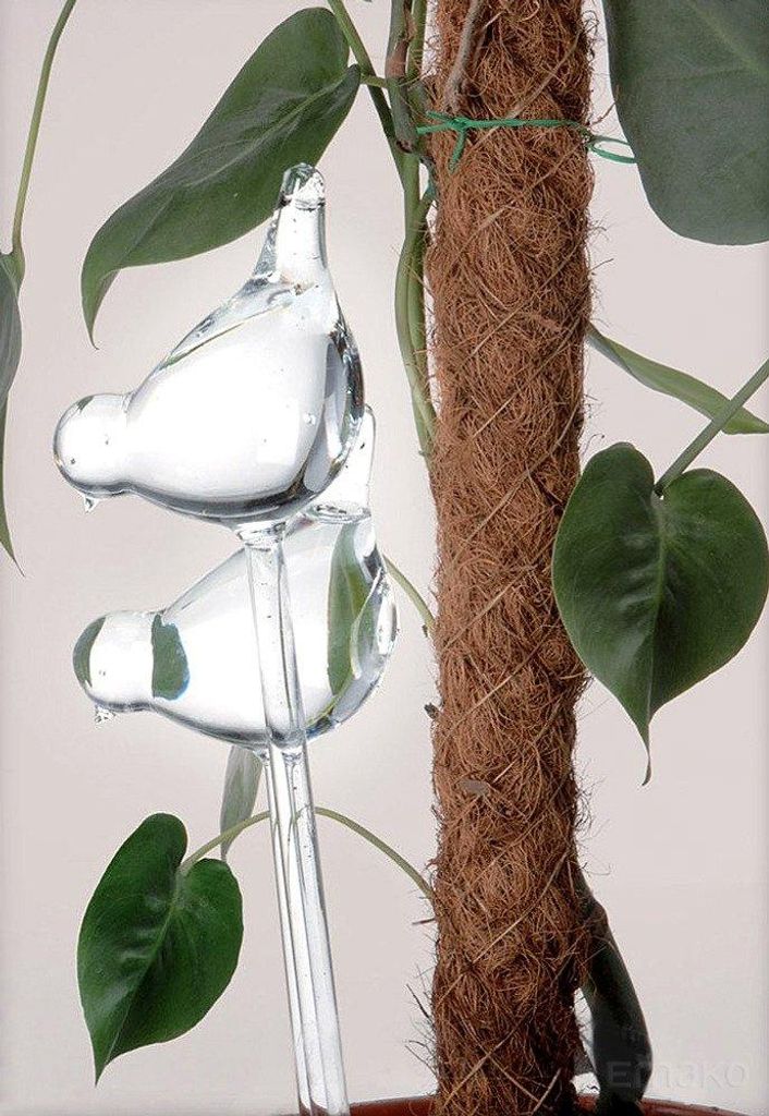 PROGARDEN Glaskugeln BEWÄSSERUNGSKUGELN Wasserspender für Produktbild 
