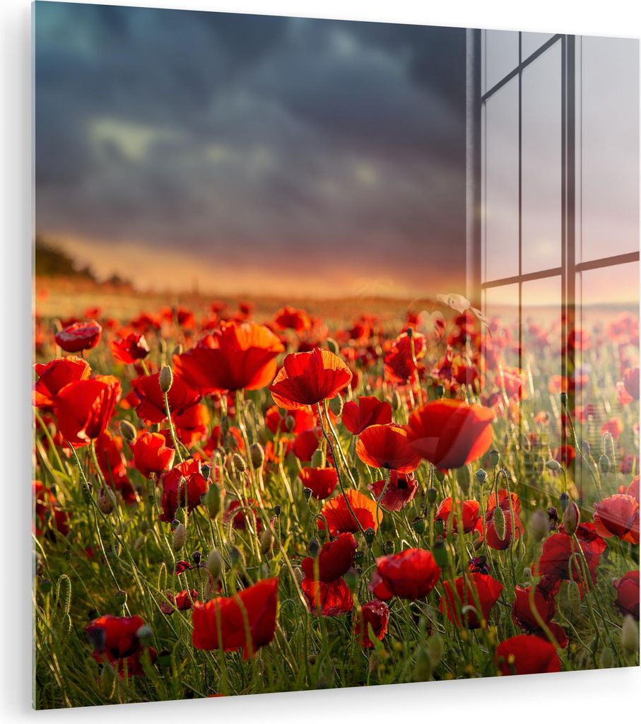 MuchoWow Glasbilder - Bilder auf Wandbild - Foto auf Glas Sonnenuntergang - Mohnblumen - Rot - Blumen - Feld - Natur 90x90 cm Wanddekoration aus Gl...