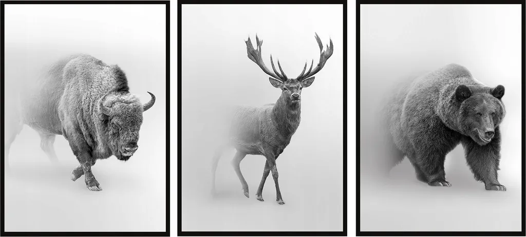 Triptyque cerf et bison 73x53cm P1021 : ensemble 3 tableaux nature
