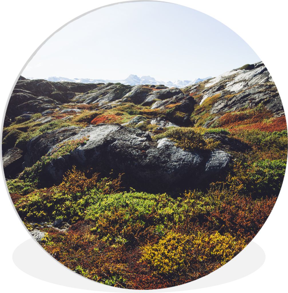 MuchoWow Rundes Wandbild - Runde Bilder Tundra in Grönland Ø 30 cm Kreis Wanddekoration Kunststoff - Wandkreis - Wandschmuck - Schlafzimmer - B...