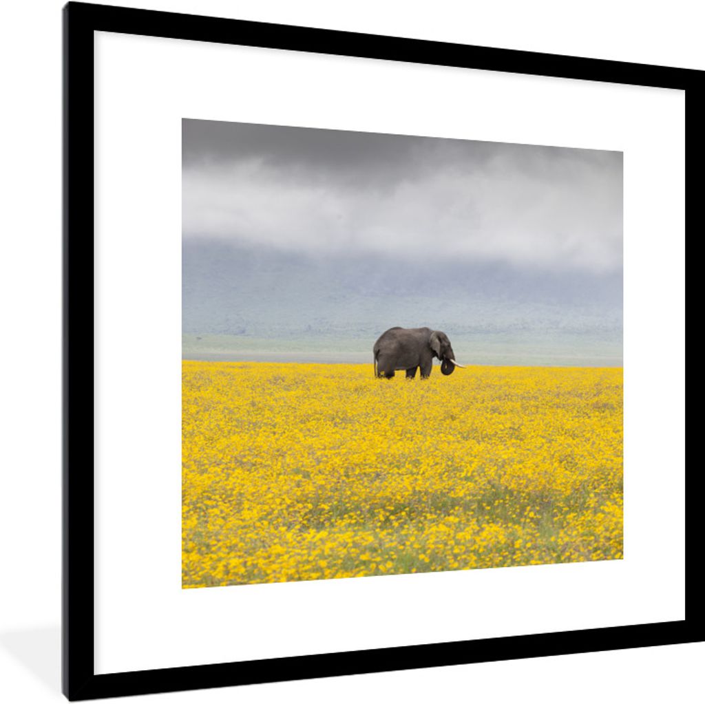 MuchoWow Gerahmtes Poster Elefant in einem gelben Blumenfeld 40x40 cm - Poster mit Schwarzem Bilderrahmen Wandposter Rahmen Foto Bilder - Poster ...