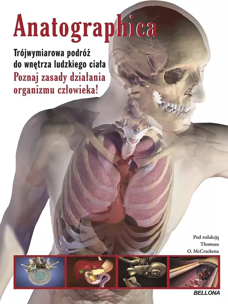 Anatographica Guide d'Anatomie pour Artistes et Étudiants en Médecine