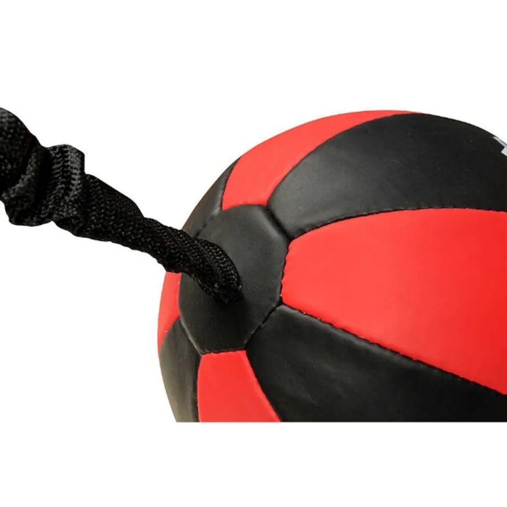 Équipement de boxe horizontale DBX-SB-2 pour travailler l'esquive - 3
