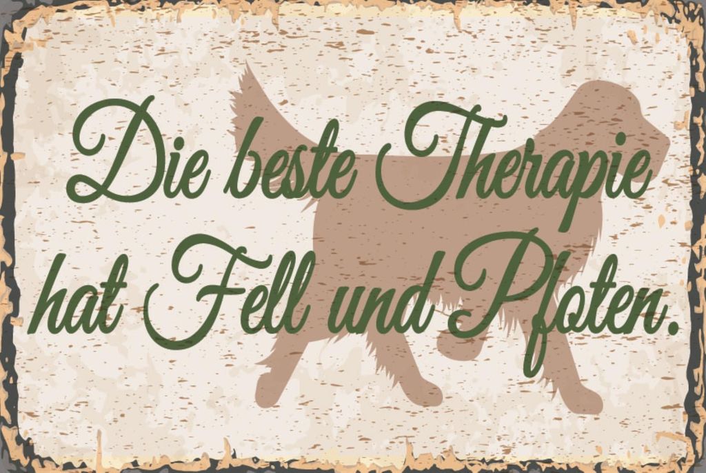 vianmo Holzschild 30x40 cm Beste Therapie hat Fell und Pfoten Schild