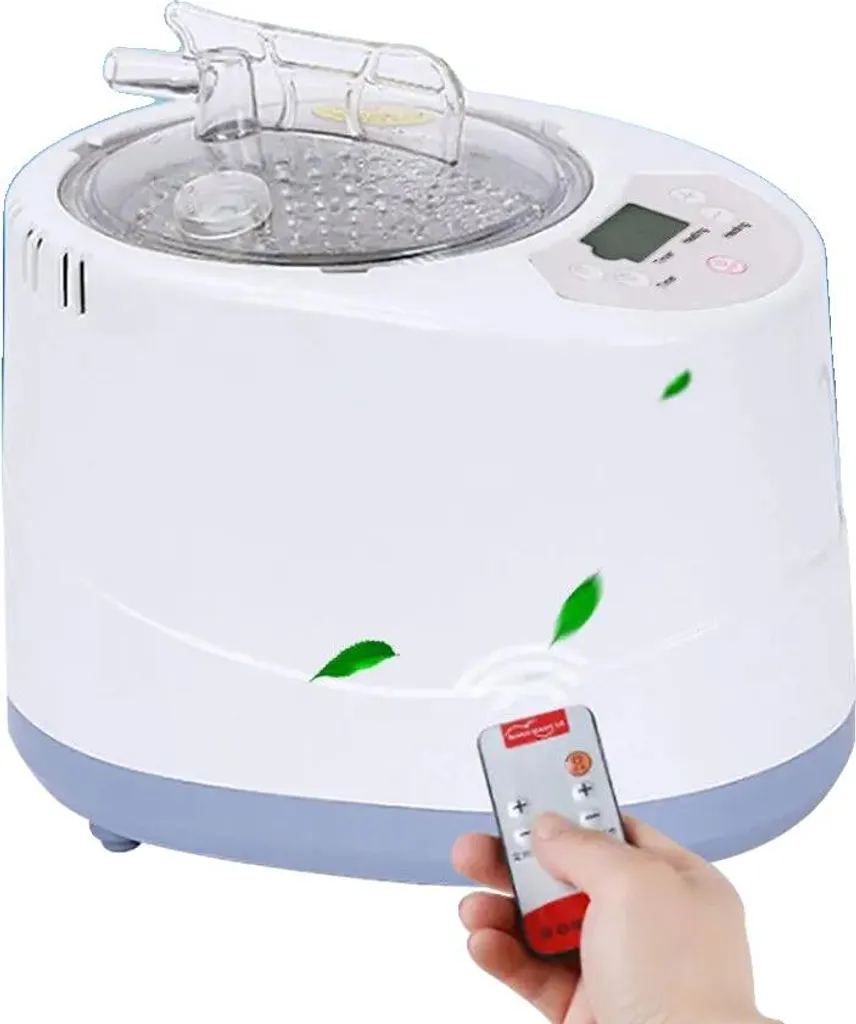 Générateur de vapeur pour sauna portable 1000W Inox usage domestique