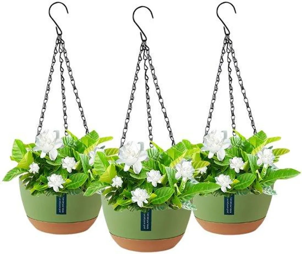 Pots de fleurs suspendus avec crochets métalliques amovibles pour déco