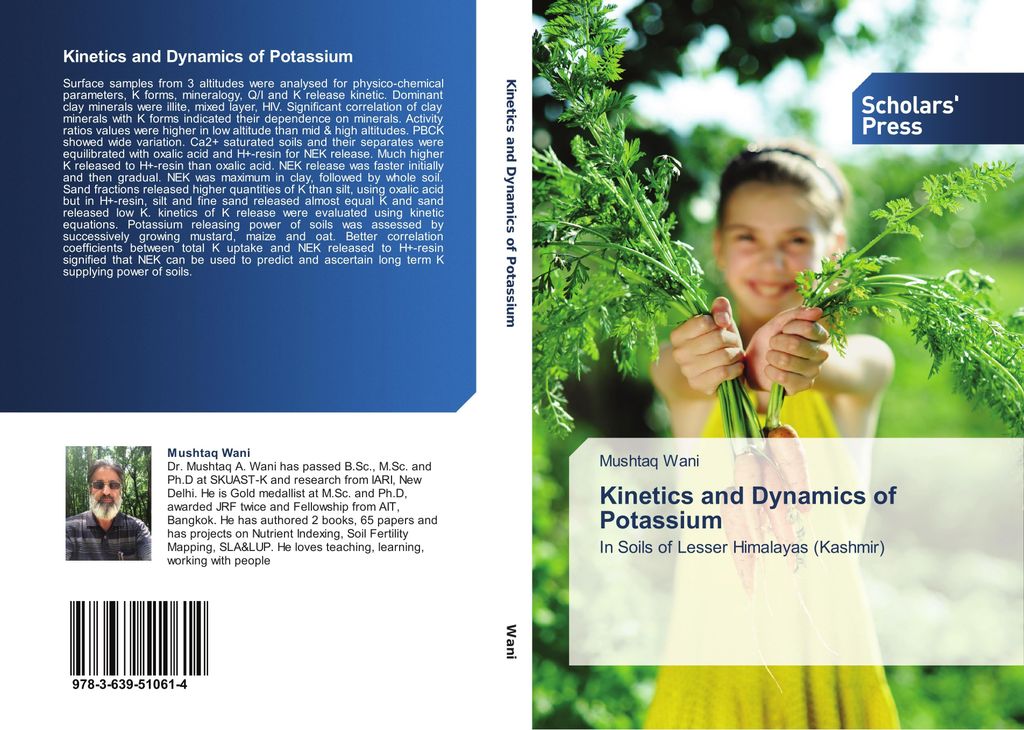 Kinetics and Dynamics of Potassium
