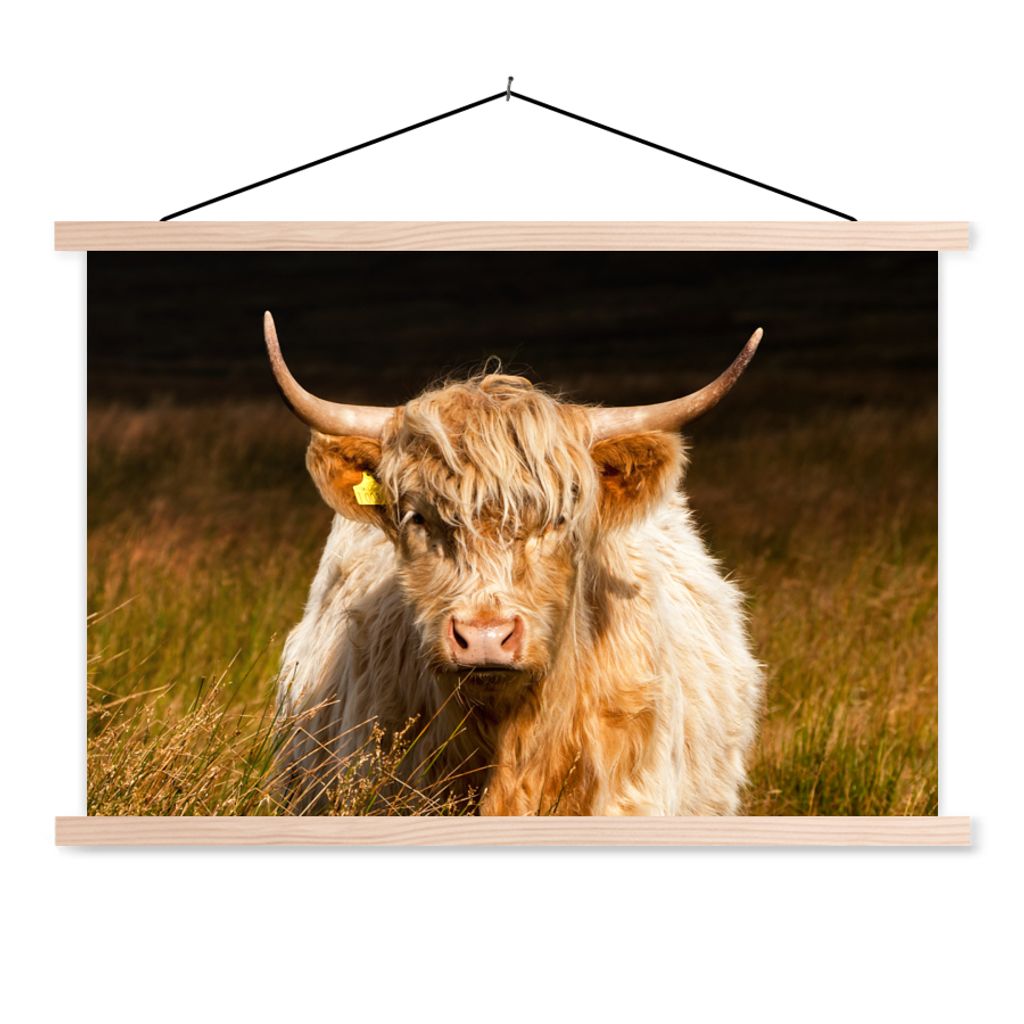 MuchoWow Textilposter Schottische Highlander - Licht - Gras - Tiere 60x40 cm mit holzfarbenen Rahmen - Bilder