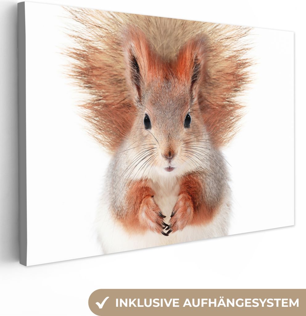 OneMillionCanvasses - Leinwandbilder - 140x90 cm, Eichhörnchen - Tiere - Natur - Orange - Weiß, Wandbilder Kunstdruck Wanddekoration - Foto auf...