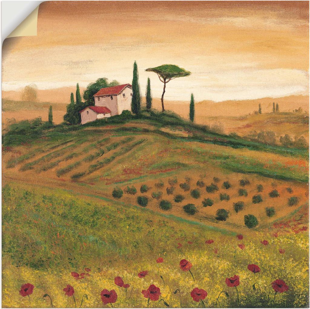 ARTland Wandbild, selbstklebend Toskanalandschaft mit Mohnblumen I Größe: 100x100 cm