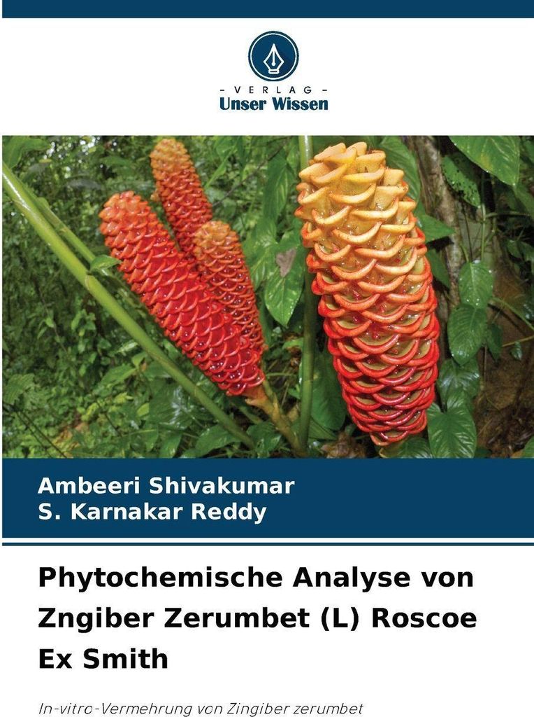 Phytochemische Analyse von Zngiber Zerumbet (L) Roscoe Ex Smith