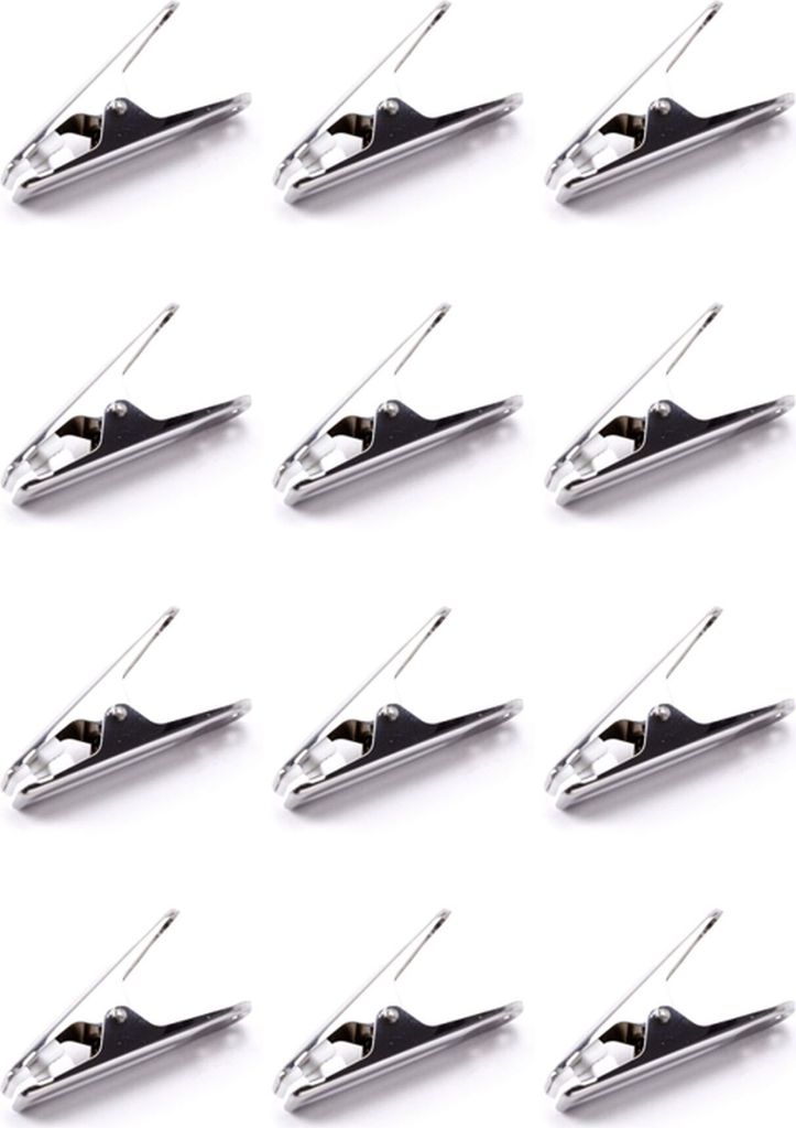 Pinces à linge en acier inoxydable, lot de 12 Image du produit 