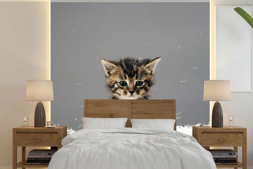 MuchoWow Fototapete für Wohnzimmer oder Schlafzimmer Wandtapete Vinyl Motivtapete Katze - Kätzchen - Federn - 260x260 cm - Papiertapeten