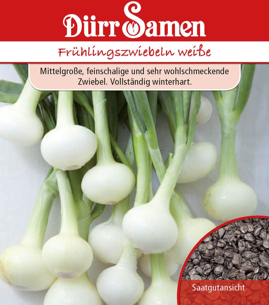 Dürr-Samen - Frühlingszwiebeln Vaugirard Weiße - Saatgut - Produktbild 