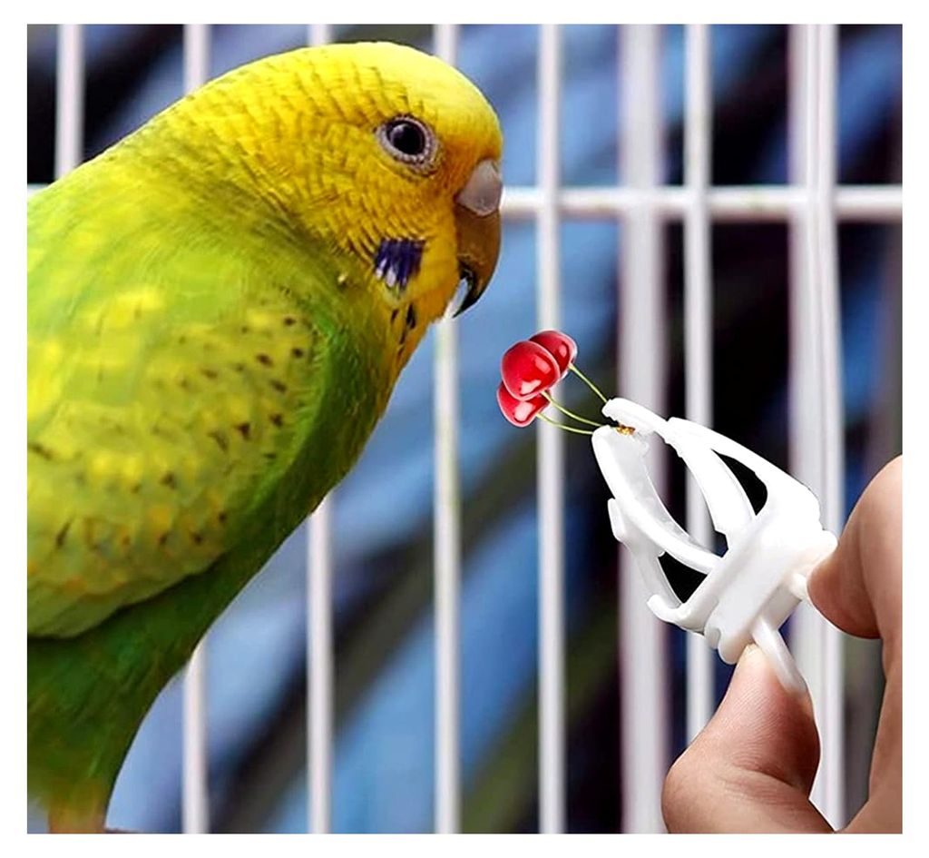 Vogelkäfig Futterhalter, 8 Stück Kunststoff Clips für Vögel und Kleintiere