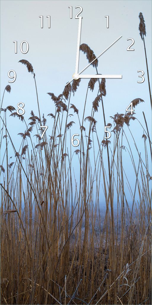 Wallario Design Wanduhr Schilfrohr am See vor blauem Himmel aus Echtglas, Größe 30 x 60 cm