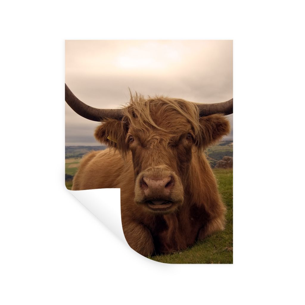 MuchoWow Wandtattoo Wandsticker Wandaufkleber Schottischer Highlander - Tiere - Berg 120x160 cm Selbstklebend und Repositionierbar - Wierderverwe...