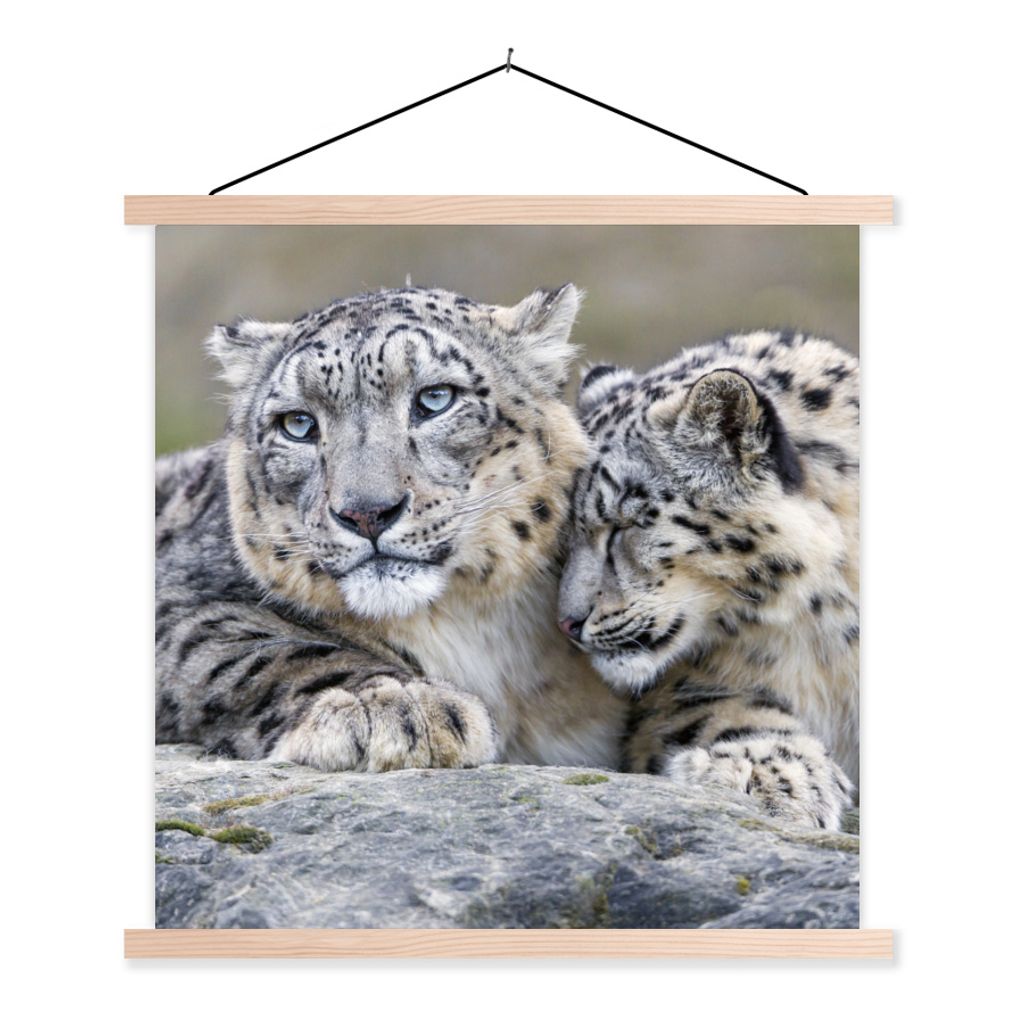 MuchoWow Textilposter Schneeleopard - Steine - Porträt 60x60 cm mit holzfarbenen Rahmen - Wanddekoration