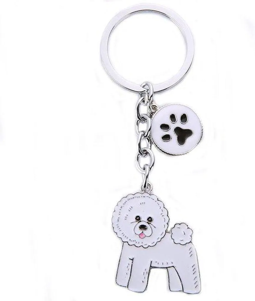 Médaille d'identification pour chiot et porte-clés métal Bichon S
