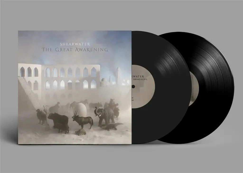 The Great Awakening Shearwater LP Vinyle 375 Media Son Haute Fidélité