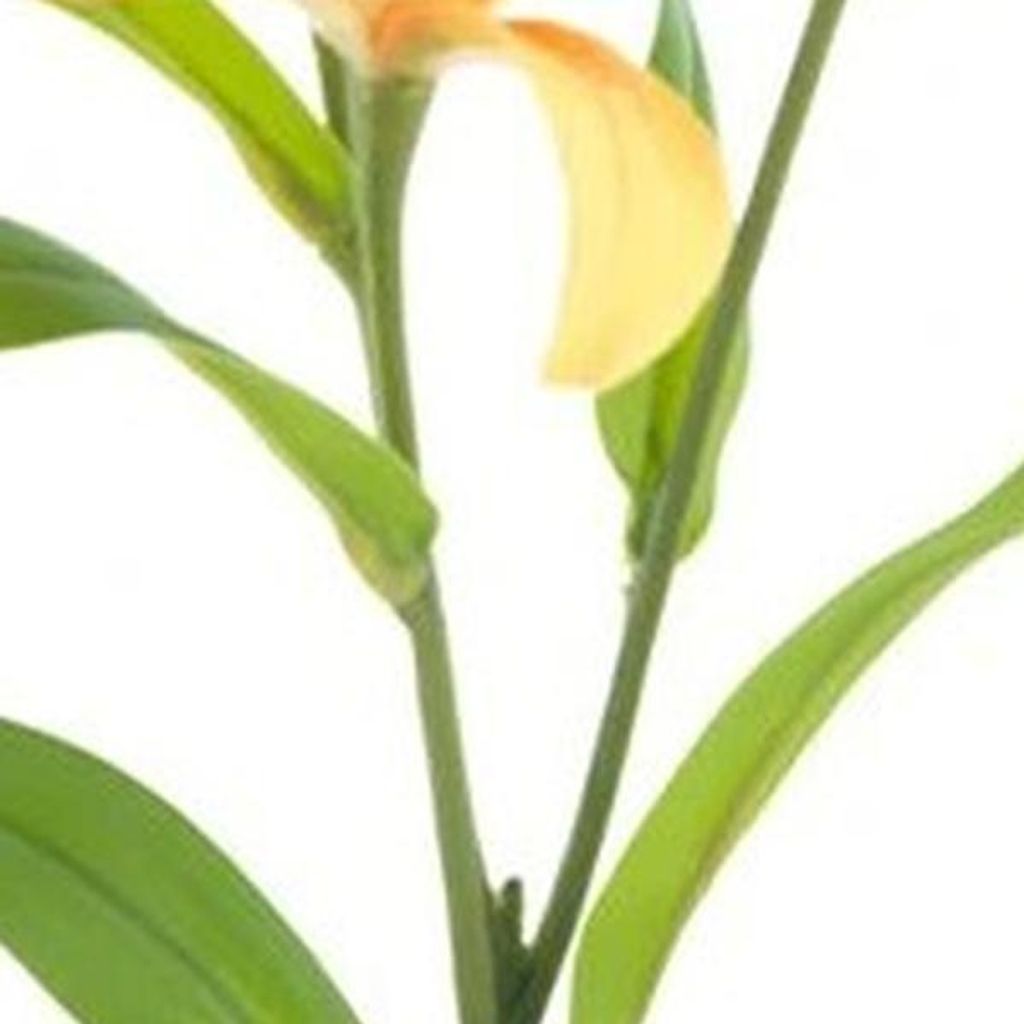 Warentuin Producten