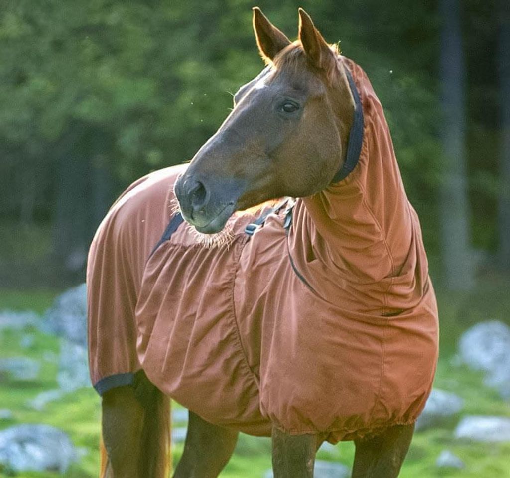 Boett Ekzemerdecke Sweet Itch - chestnut / (Größe 140 - 170)