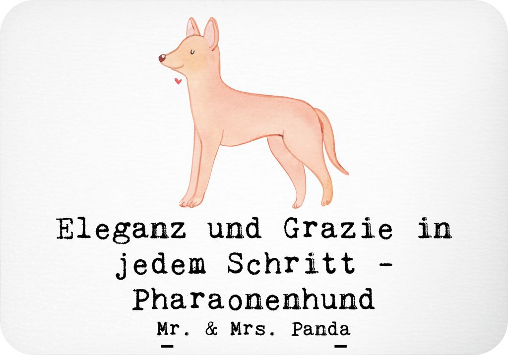 Mr. & Mrs. Panda Kühlschrankmagnet Eleganter Pharaonenhund - Weiß - Geschenk, Hunderassen Charakter, freundlicher Hund, holzmagnet, pflegeleichte...