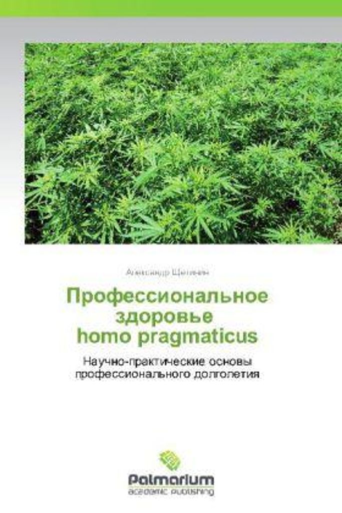 Berufliche Gesundheit des homo pragmaticus Produktbild 