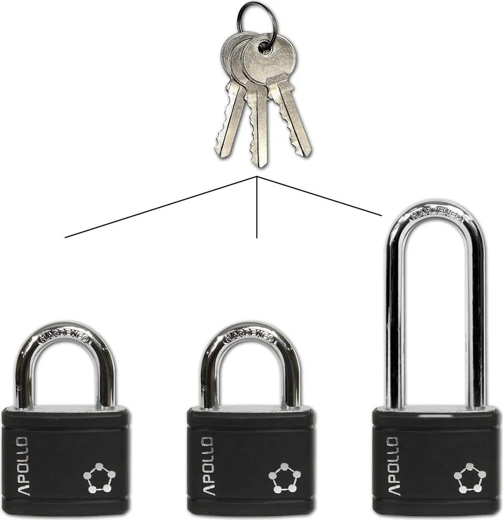 Finissez-en avec les Clés Multiples : Lot Cadenas Richter Czech 40mm