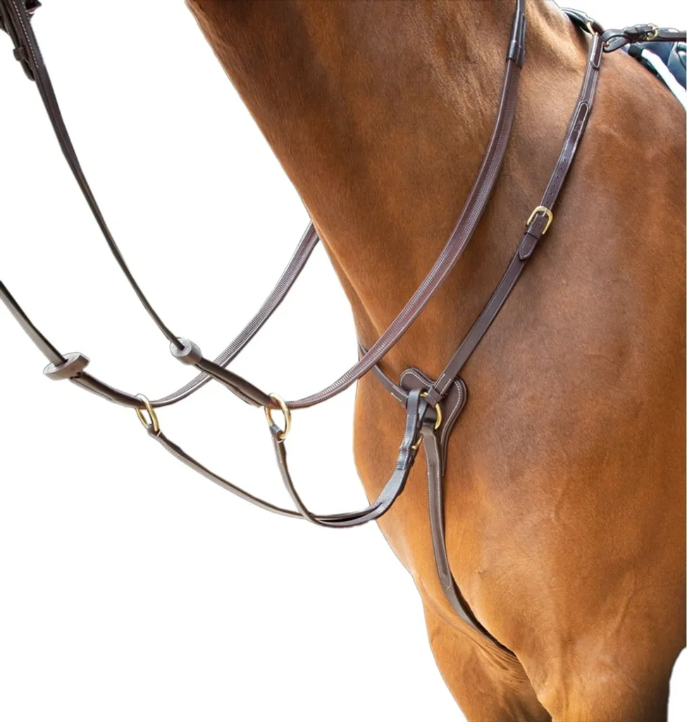 Harnais d'attelage complet Salisbury en cuir marron foncé, taille Poney