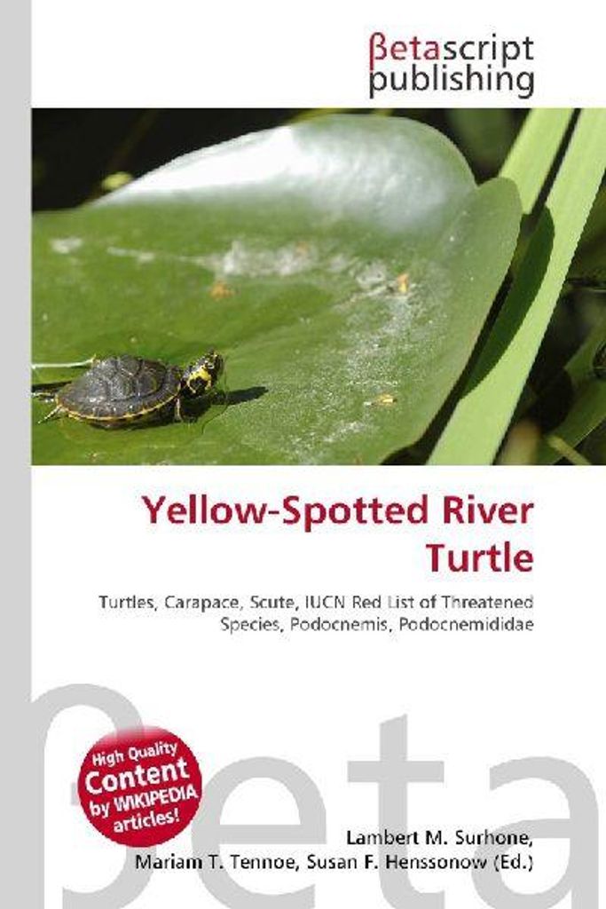 Yellow-Spotted River Turtle