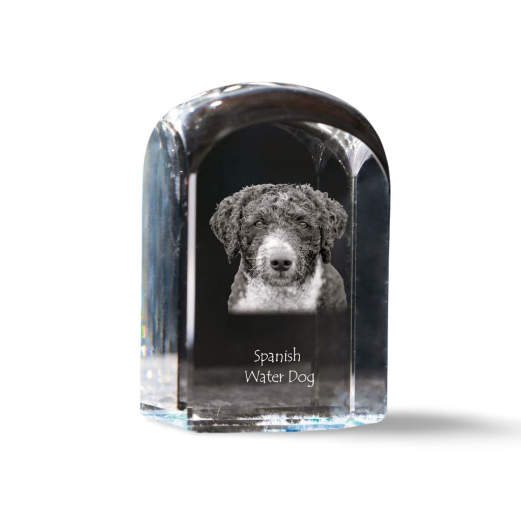 Spanischer Wasserhund, Andalusischer Türke, Türkenhund - Kristallwürfel mit Bild, Hundebild im Kristall, sechseckiger Papierclip von Art-Dog.
