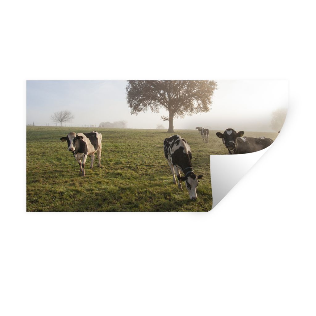 MuchoWow Wandtattoo Wandsticker Wandaufkleber Kühe - Licht - Nebel 160x80 cm Selbstklebend und Repositionierbar - Sticker - Dekorfolie
