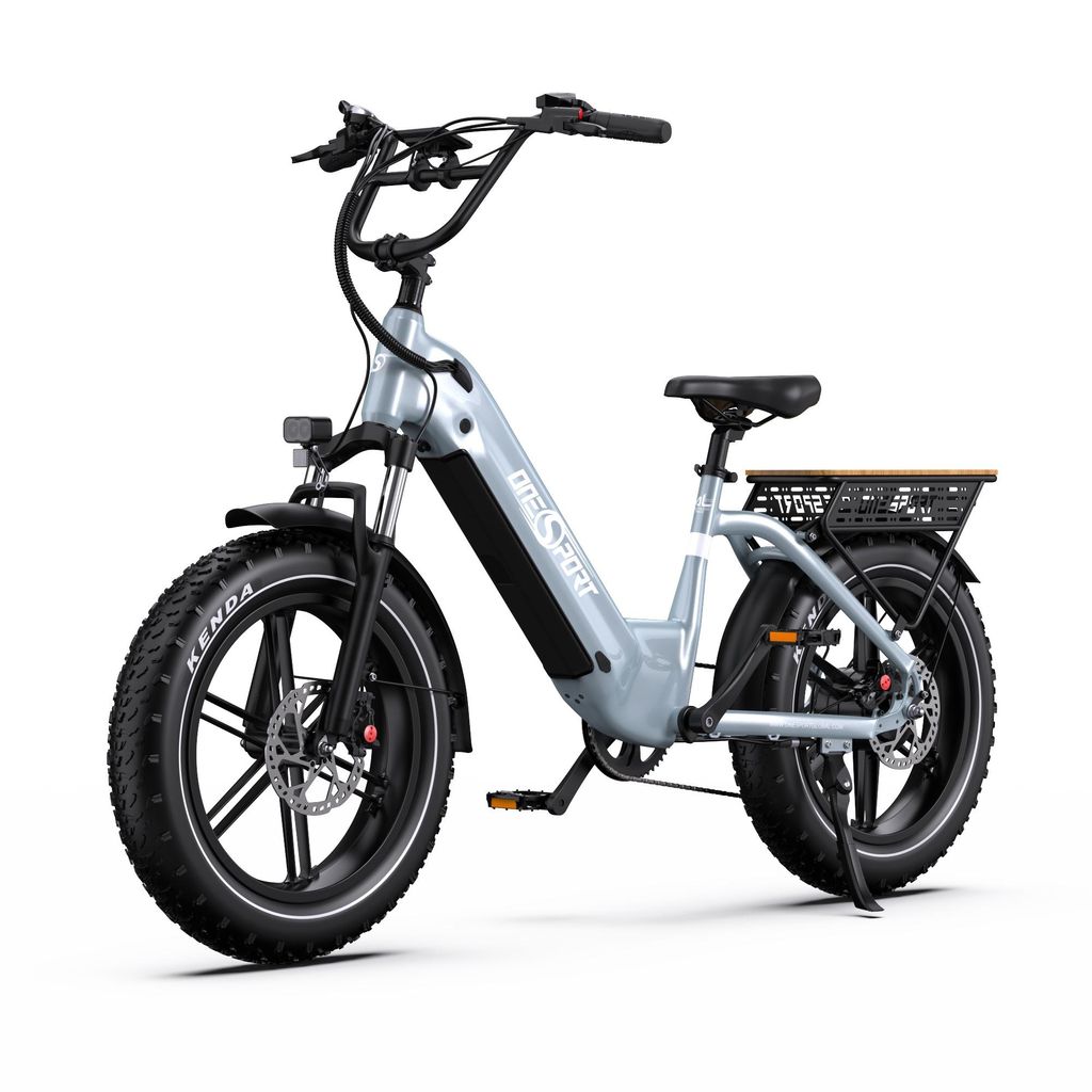 Onesport 20 Zoll Elektrofahrrad Pedelec, 25km/h,48V/18Ah ,250W Motor,grau