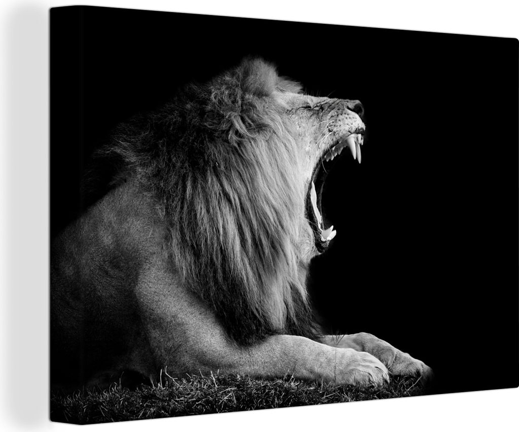 OneMillionCanvasses - Leinwandbilder - 140x90 cm, Löwe - Wildtiere - Gras - Schwarz - Weiß, Wandbilder Kunstdruck Wanddekoration - Foto auf Lei...