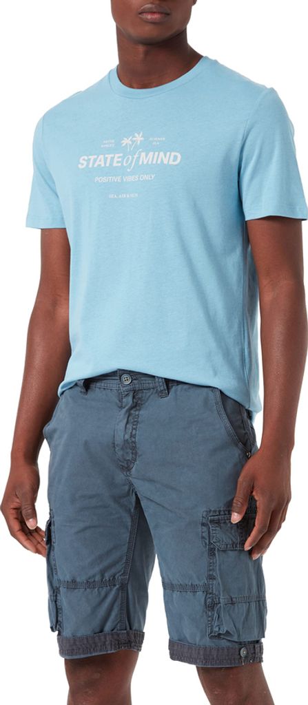 PIONEER COLLIN blue ashes 13481 5002.6200 42