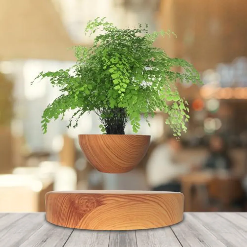 Mini-Jardin en lévitation BABYLONIA rotatif à 360° en noyer massif