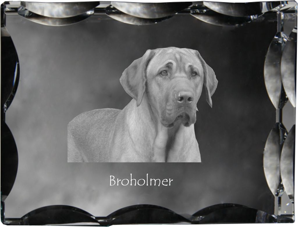Schwarz-Lohfarbener Waschbärenhund, Black and Tan Coonhound - Kristall mit einem Hundebild, Glasstatuette mit einem Bild, einzigartiger Bilderrahm...